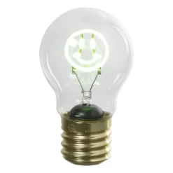 Xenos Led Lampen-Ledlampje smiley - groen - ø7x12 cm