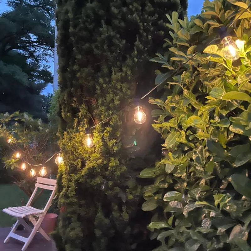 Xenos Lichtslingers-Lichtsnoer voor buiten - 10 LED lampen - 7.5 meter