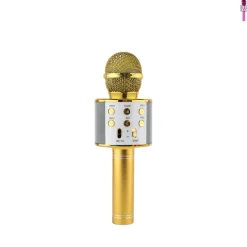 Xenos Spellen|Kerstcadeaus-Microfoon karaoke - diverse kleuren - ø7x22.5 cm