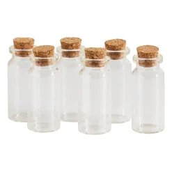 Xenos Knutselspullen|Voorraadpotten-Mini flesjes met kurk - 6 stuks - 6x10 ml