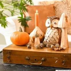 Xenos Decoratieve Beelden-Paddenstoel - hout - ø7x20 cm