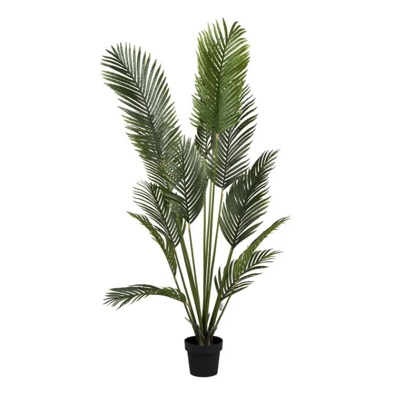 Xenos Kunstplanten-Palm kunstplant xl - 170 cm
