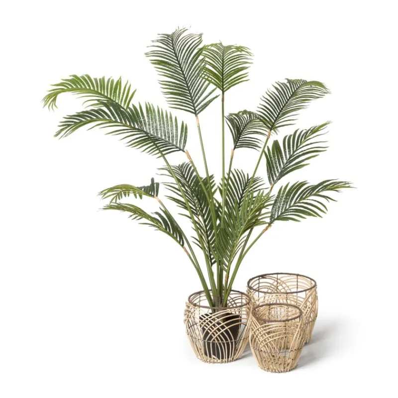 Xenos Kunstplanten-Palm kunstplant xl - 170 cm