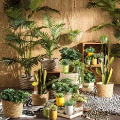 Xenos Kunstplanten-Palm kunstplant xl - 170 cm
