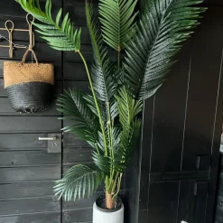 Xenos Kunstplanten-Palm kunstplant xl - 170 cm