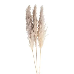 Xenos Kunstbloemen-Pampasgras - 100 cm - set van 3