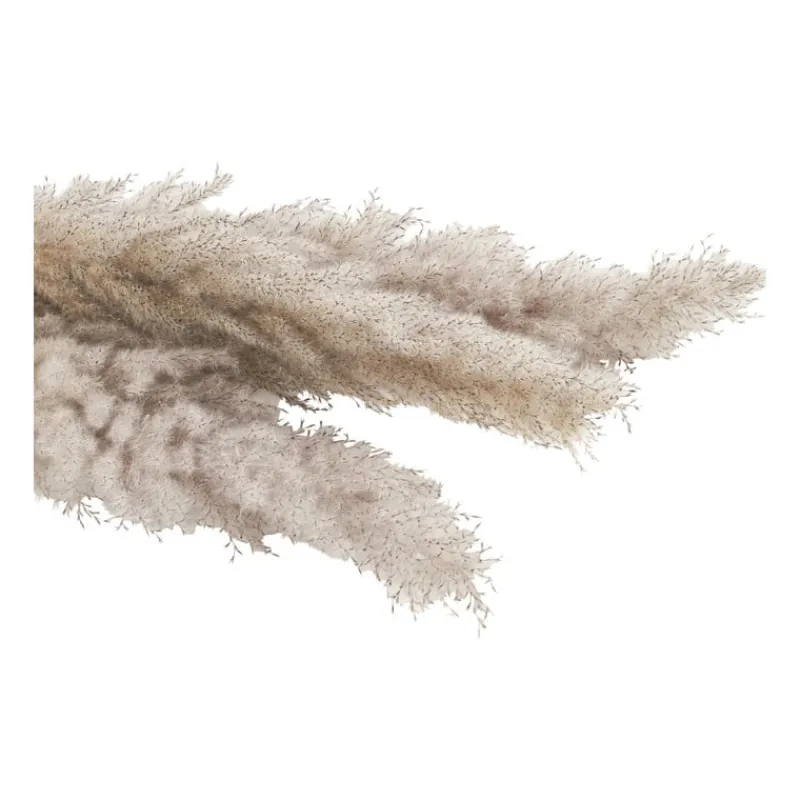 Xenos Kunstbloemen-Pampasgras - 100 cm - set van 3