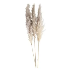 Xenos Kunstbloemen-Pampasgras - 100 cm - set van 3