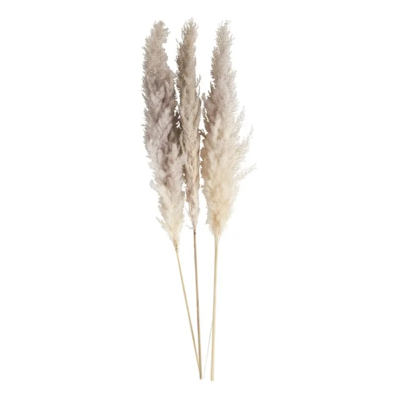 Xenos Kunstbloemen-Pampasgras - 100 cm - set van 3