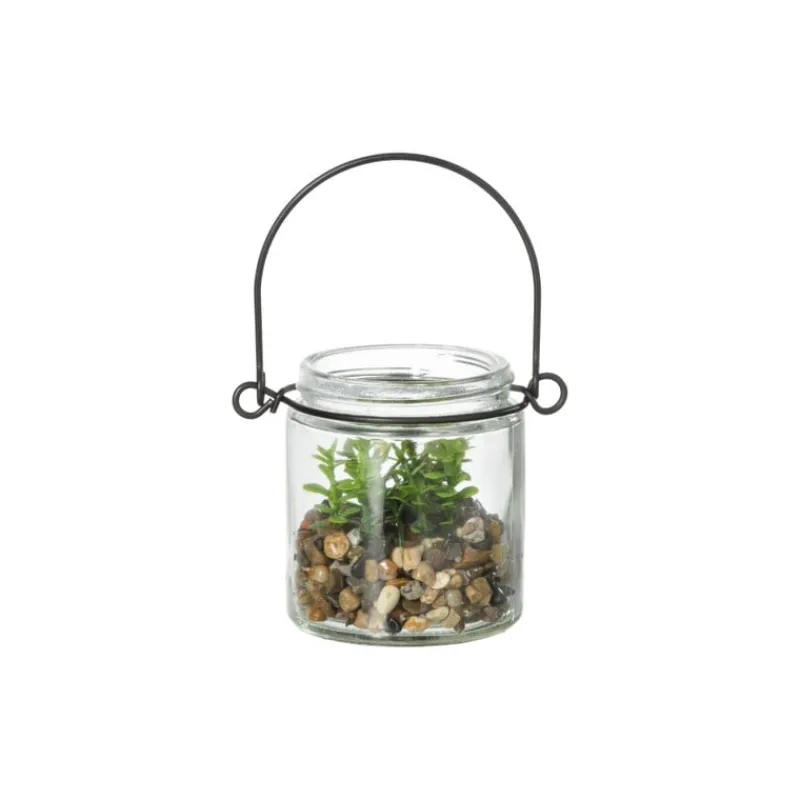 Xenos Kunstplanten-Plantje in glas - ø6x6.7 cm