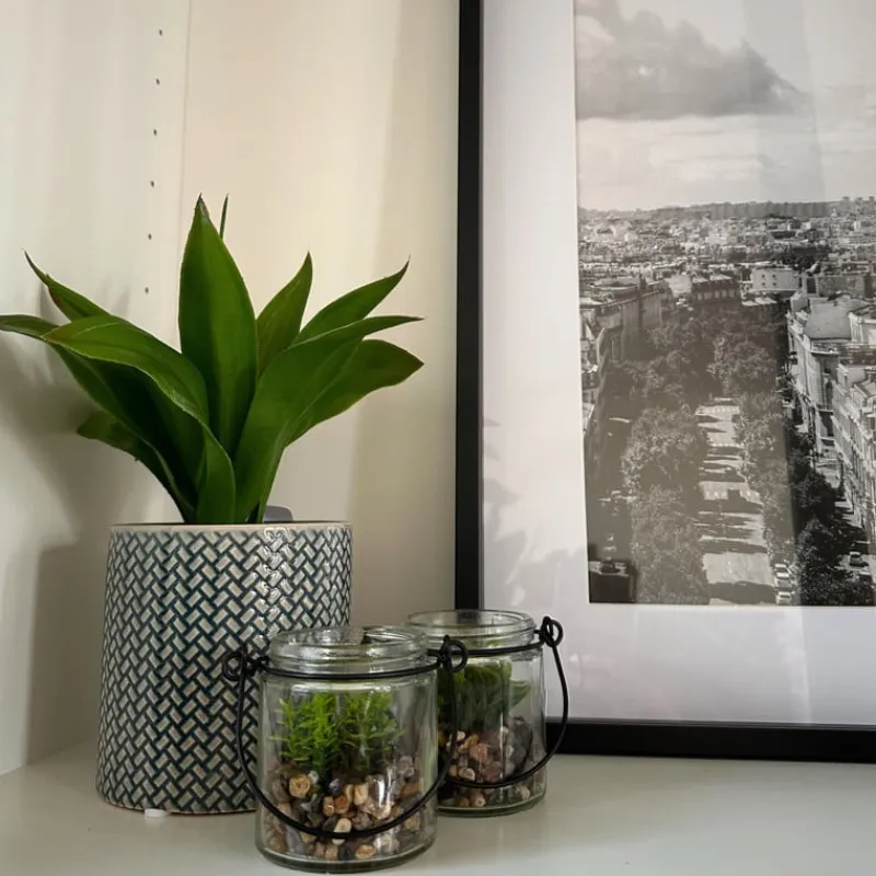 Xenos Kunstplanten-Plantje in glas - ø6x6.7 cm