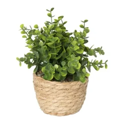 Xenos Kunstplanten-Plantje in rieten mand - rond blad - ø10x19 cm