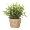 Xenos Kunstplanten-Plantje in rieten mand - spits blad - ø10x19 cm