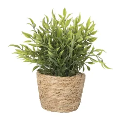 Xenos Kunstplanten-Plantje in rieten mand - spits blad - ø10x19 cm