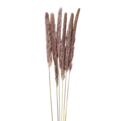 Xenos Kunstbloemen-Pluim smal - 6 stuks - 70 cm