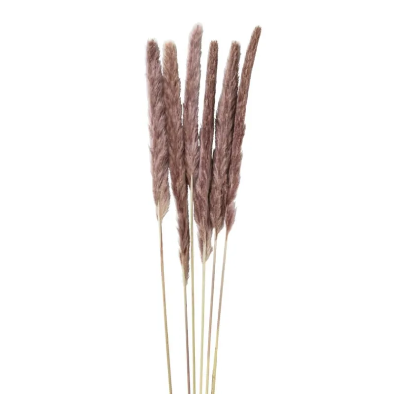 Xenos Kunstbloemen-Pluim smal - 6 stuks - 70 cm