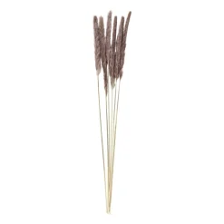 Xenos Kunstbloemen-Pluim smal - 6 stuks - 70 cm