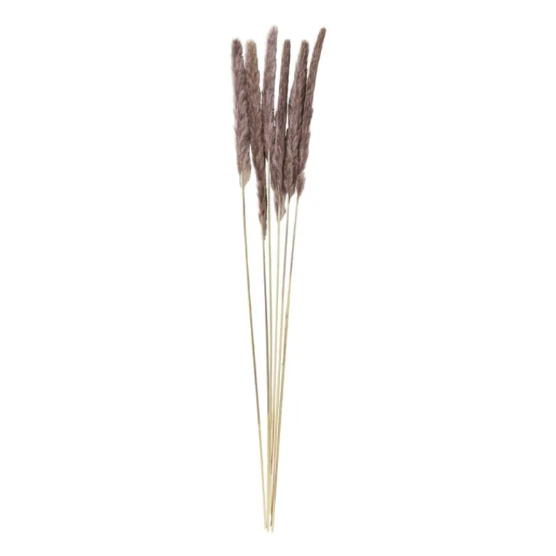 Xenos Kunstbloemen-Pluim smal - 6 stuks - 70 cm