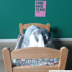 Xenos Posters-Poster come back to bed - roze/groen - 13x18 cm
