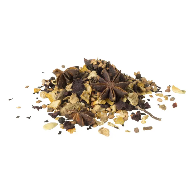 Xenos Thee-Pumpkin spice thee - 75 gram