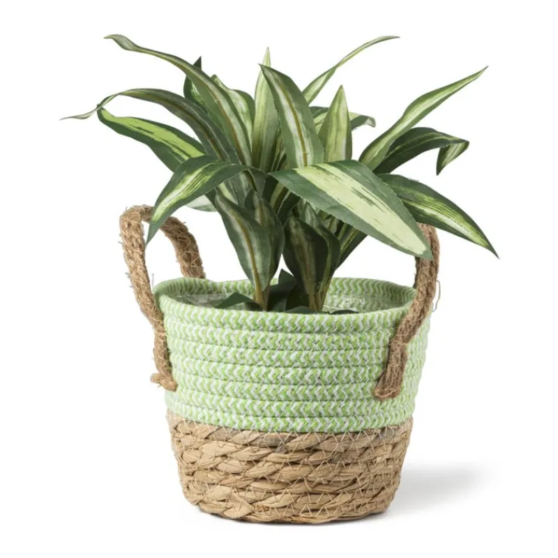 Xenos Kerstcadeaus|Manden-Rieten mand met hengsel - groen - ø15x16.5 cm