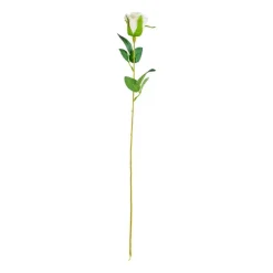 Xenos Kunstbloemen-Roos wit - 56 cm