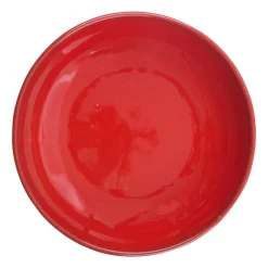 Xenos Schalen-Schaal Selena - rood - 22 cm