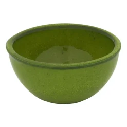 Xenos Schalen-Schaaltje Selena - groen - 8 cm