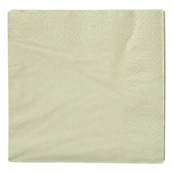 Xenos Papieren Servetten|Servetten-Servetten lichtgroen - 33x33 cm - set van 20