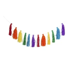 Xenos Slingers|Kinderfeestjes-Slinger tassel regenboog - 3 meter