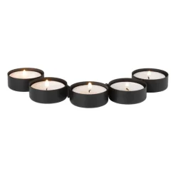 Xenos Waxinelichthouders-Theelichthouder slang - zwart - 4x31x4.5 cm