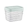 Xenos Bewaardozen-Vershoudbakjes - 120 ml - set van 3