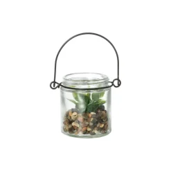 Xenos Kunstplanten-Vetplantje in glas - ø6x6.7 cm