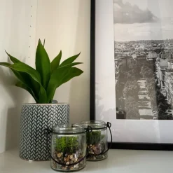 Xenos Kunstplanten-Vetplantje in glas - ø6x6.7 cm