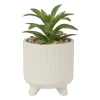 Xenos Kunstplanten-Vetplantje in pot - beige - ø8x15 cm
