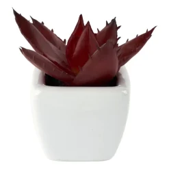 Xenos Kunstplanten-Vetplantjes - klein in pot - diverse varianten