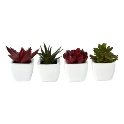 Xenos Kunstplanten-Vetplantjes - klein in pot - diverse varianten