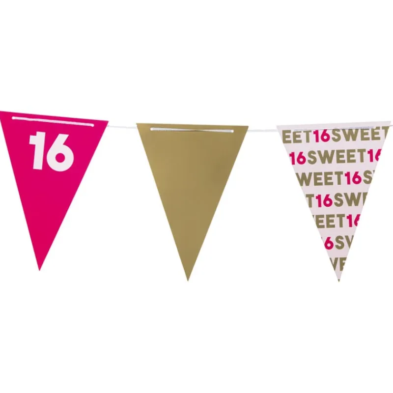 Xenos Vlaggenlijnen|Verjaardagen-Vlaggenlijn 16 jaar - roze - 10 meter
