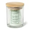 Xenos Waxmelts-Waxmelts in pot - green water - set van 6