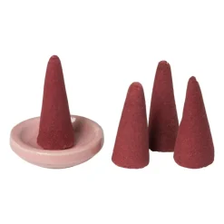 Xenos Wierook-Wierook set - rose - kegels met schaaltje
