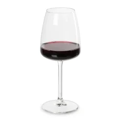 Xenos Wijnglazen-Wijnglas leyda - 310 ml