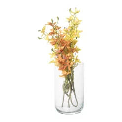 Xenos Lantaarns-Windlicht - glas - ø13x21 cm